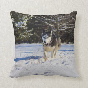 Coussin Chien de traîneau sibérien dans la neige