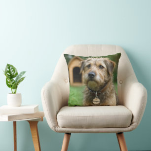 Coussin Chien dépenaillé adopté avec niche