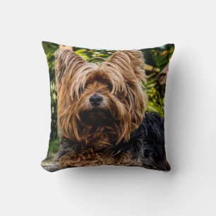 Coussin Chien du Yorkshire Terrier
