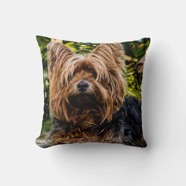 Coussin Chien du Yorkshire Terrier (Recto)