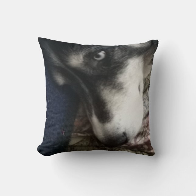 Coussin Chien endormi (Recto)