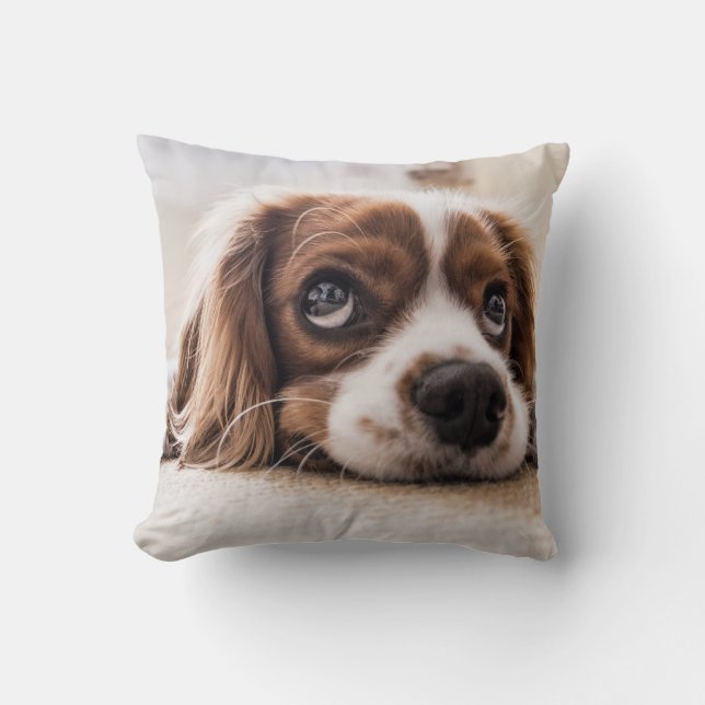 Coussin Chien Espagnol Coqueur Triste (Recto)