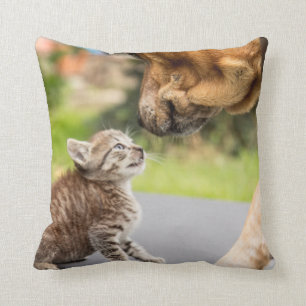 Coussin Chien et chat des images de Getty dans l'amour