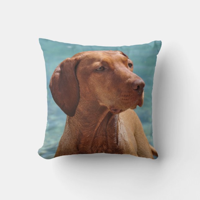 Coussin Chien magyar de Vizsla (Recto)