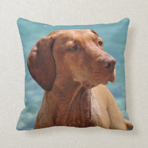 Coussin Chien magyar de Vizsla