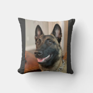 Coussin Chien malinois