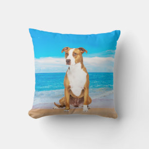 Coussin Chien Pitbull Assis Sur La Plage