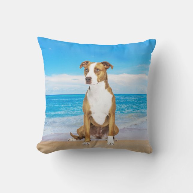 Coussin Chien Pitbull Assis Sur La Plage (Recto)