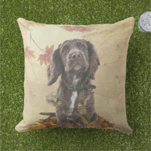 Coussin Chien spaniel spaniel cocker au chocolat