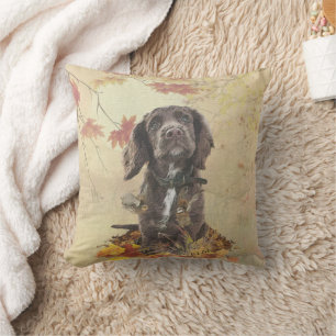 Coussin Chien spaniel spaniel cocker au chocolat