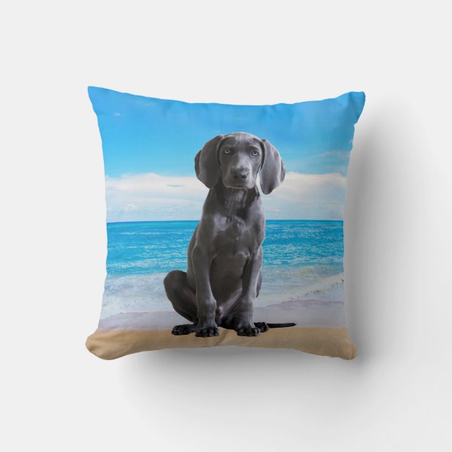 Coussin Chien Weimaraner Assis Sur La Plage (Recto)