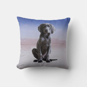 Coussin Chien Weimaraner Assis Sur La Plage