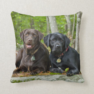 Coussin Chiens Chiens Marionnettes Black Lab Chocolat Labr