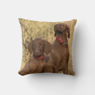 Coussin Chiens de chasse de la Vizsla - Hounds de chasse -
