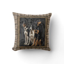 chiens de chasse sur plaid