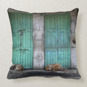 Coussin Chiens égarés devant le carreau vert de portes