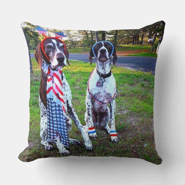 Coussin Chiens patriotiques et feux d'artifice 20 x 20 Jeu (Recto)