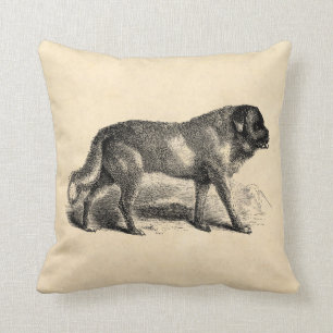 Coussin Chiens vintages de Bernards de saint de 1800s de