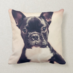 Coussin Chiffre de taureau français