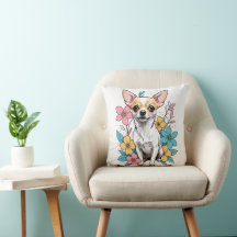 Chihuahua du printemps