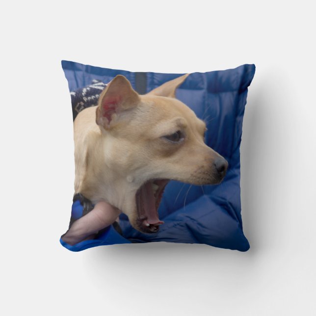 Coussin Chihuahua hurle (Recto)