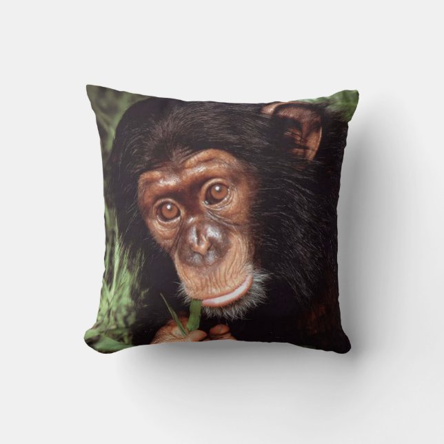 Coussin Chimpansee (Recto)