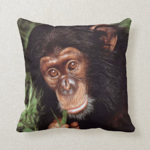 Coussin Chimpansee