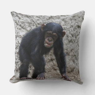 Coussin Chimpanzé 031