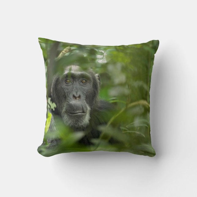 Coussin Chimpanzé caché parmi la végétation (Recto)