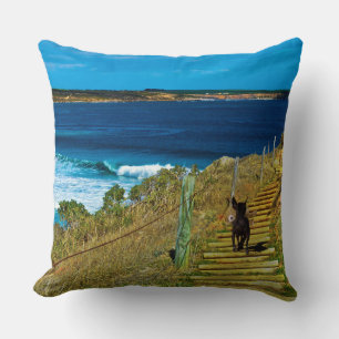 Coussin Chinois Crested Puppy Steal Teddy Large Cushion.