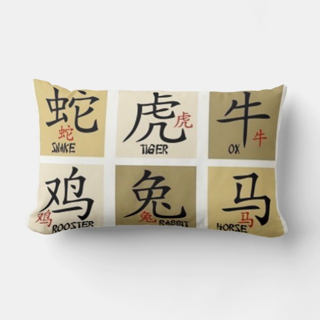 Coussin chinois des signes géographiques (Recto)