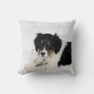 Coussin chiot