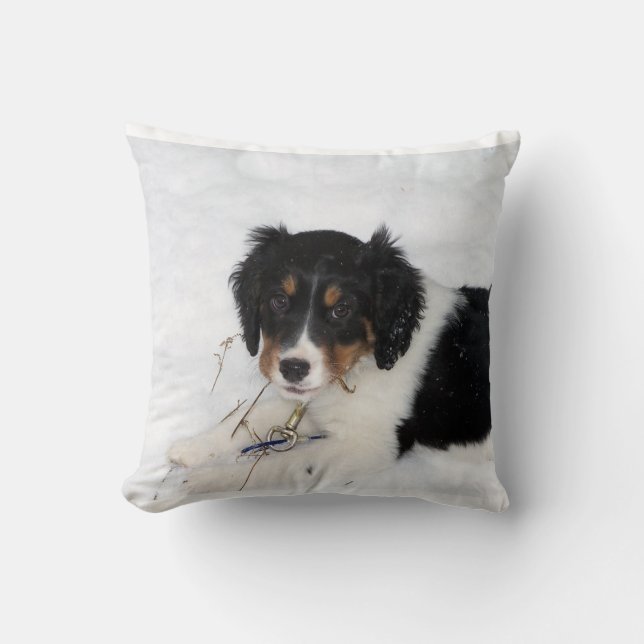 Coussin chiot (Recto)