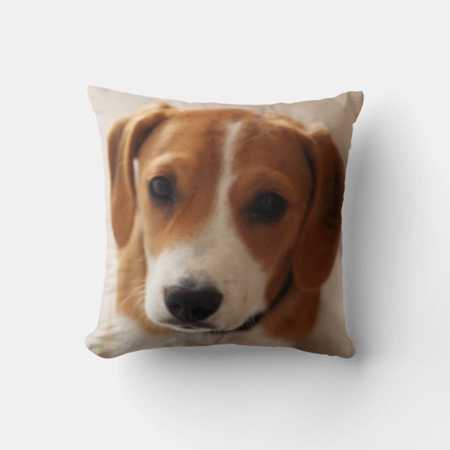 Coussin Chiot 2 de beagle (Recto)
