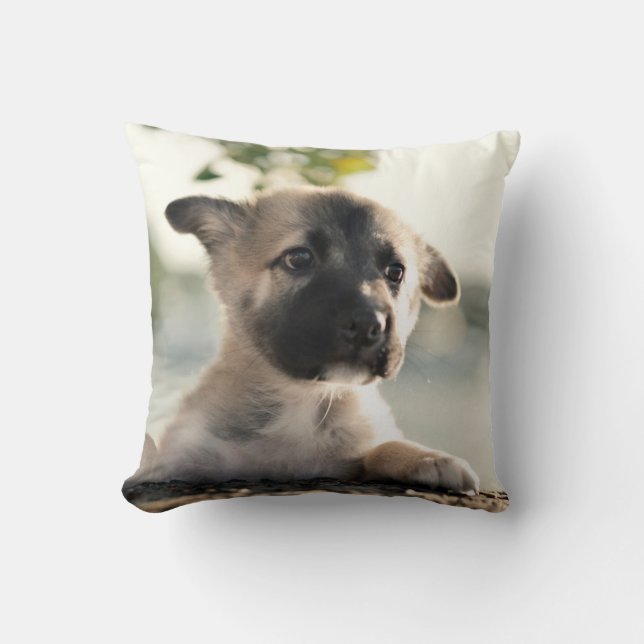 Coussin Chiot allemand sur la corniche (Recto)
