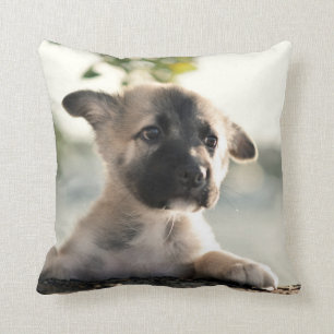 Coussin Chiot allemand sur la corniche
