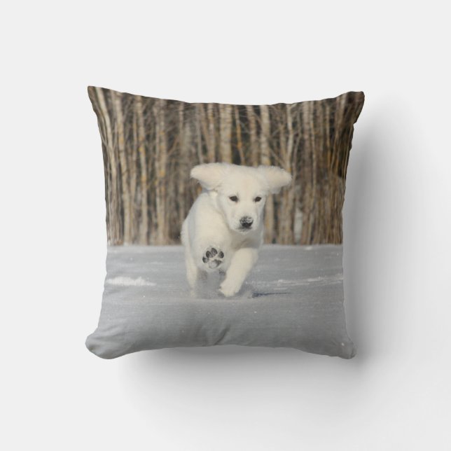 Coussin Chiot blanc Golden Retriever en neige (Recto)