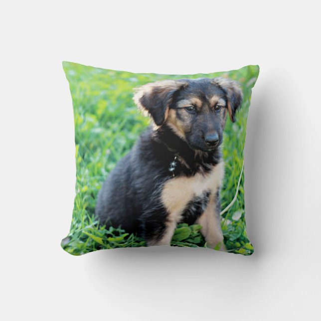 Coussin Chiot de berger allemand (Recto)