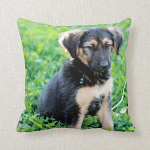 Coussin Chiot de berger allemand