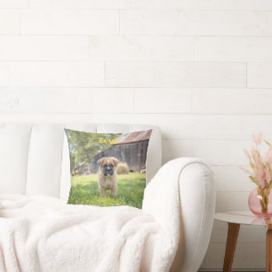 Coussin Chiot de boîte mignon personnalisé