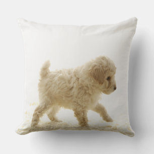 Coussin Chiot de caniche