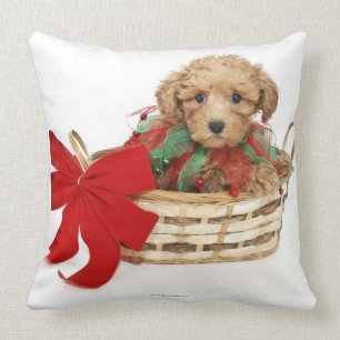 Coussin Chiot de caniche se reposant dans le panier de