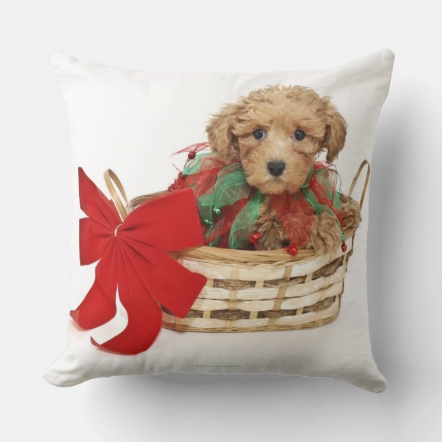 Coussin Chiot de caniche se reposant dans le panier de (Recto)