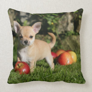 Coussin Chiot de chiwawa avec des pommes
