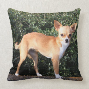 Coussin Chiot de chiwawa de tasse de thé