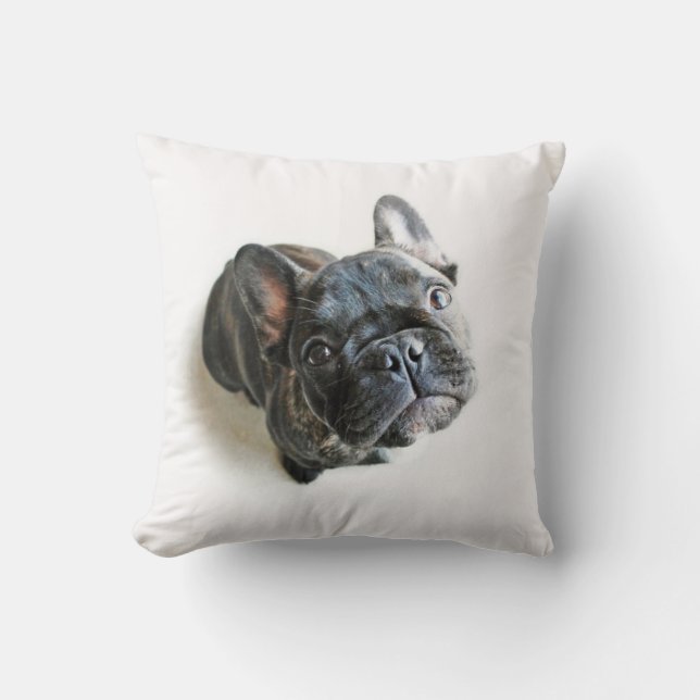 Coussin Chiot de France (Recto)