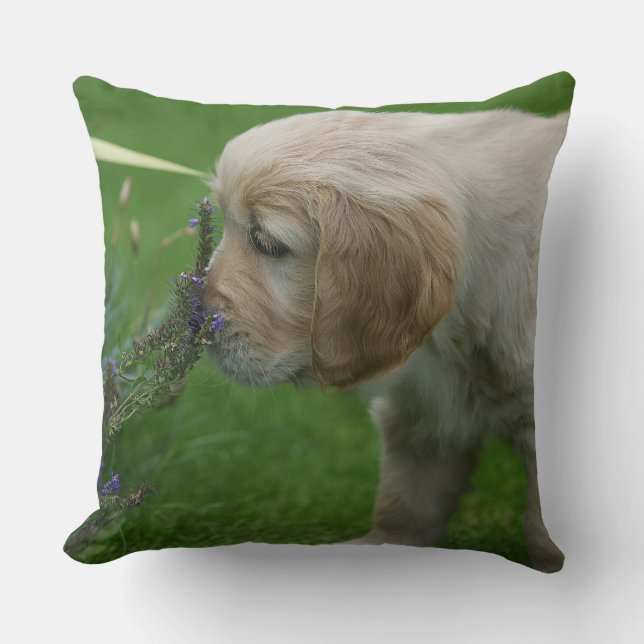 Coussin Chiot de golden retriever (Recto)