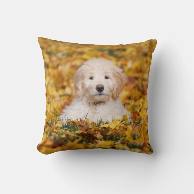 Coussin Chiot De Goldendoodle En Feuilles D'Automne (Recto)