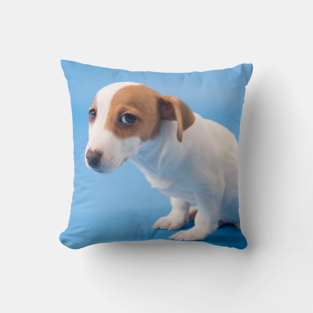 Coussin Chiot de Jack Russell (Recto)