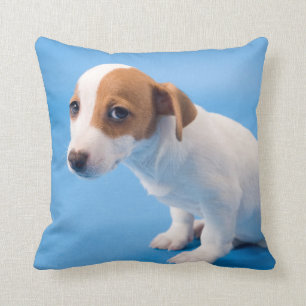 Coussin Chiot de Jack Russell